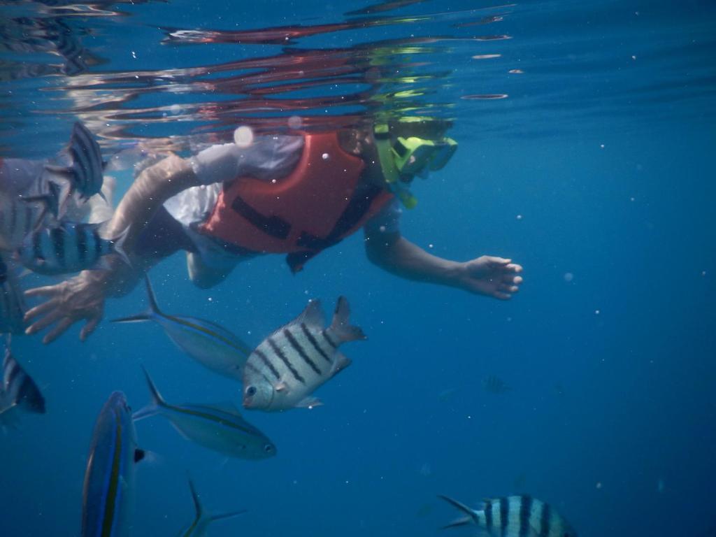 Sari Pacifica Resort&Spa, Lang Tengah Bagian luar foto